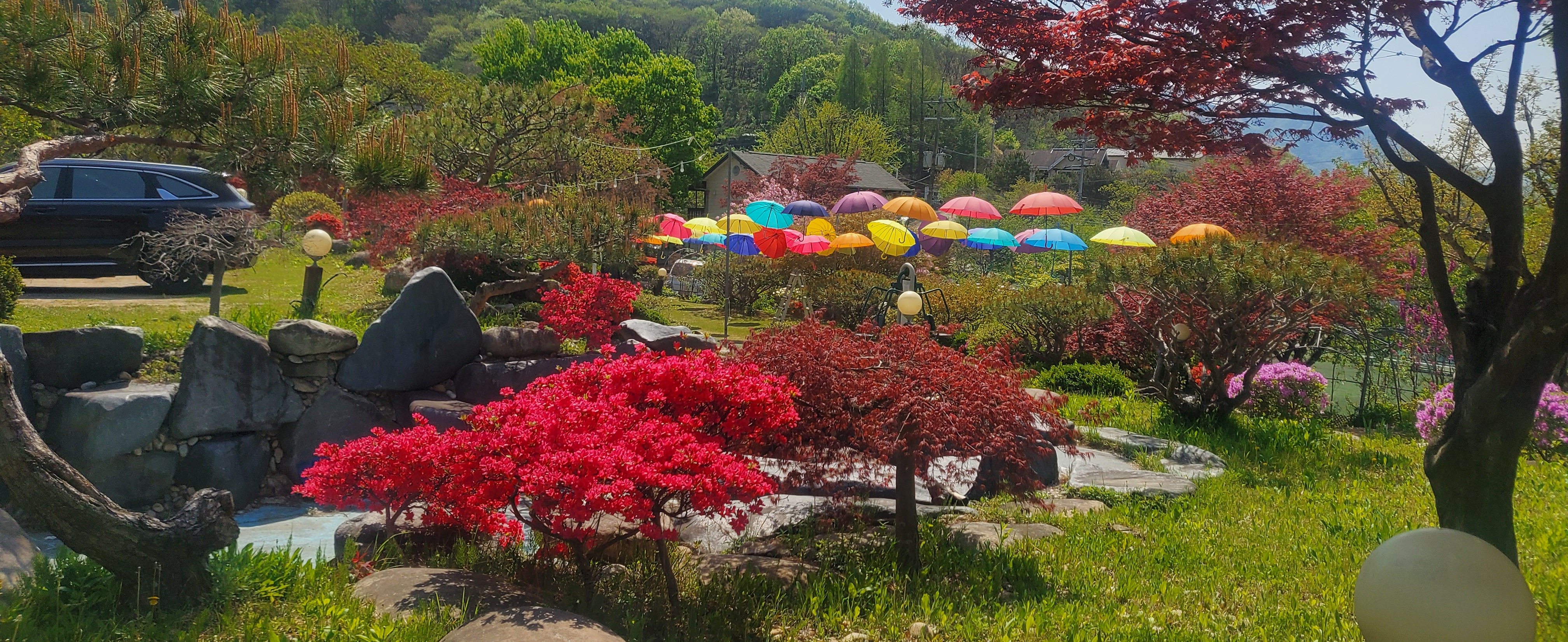 MT 사진모음(“단체사진인데 왜 내 흑역사만 선명한가…”) 16번째 첨부파일 이미지