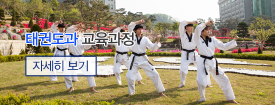 태권도과 교육과정