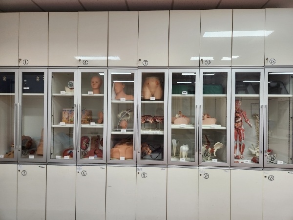 건강사정실습실 대표이미지