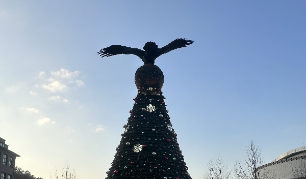 우리대학 성탄절 트리  대표이미지