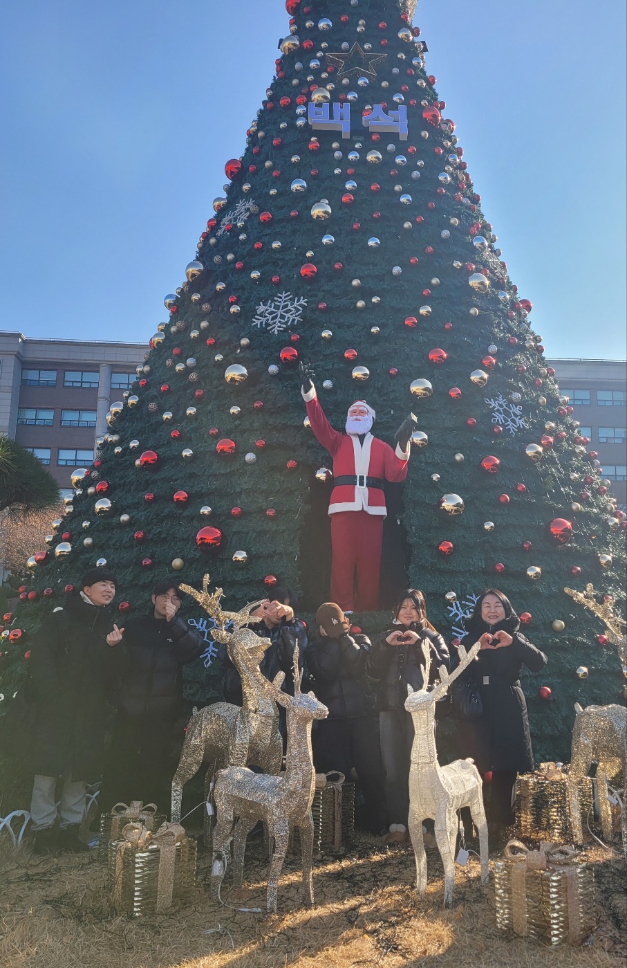 크리스마스 트리 촬영 2번째 첨부파일 이미지