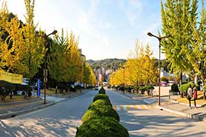 가을 정문 대표이미지